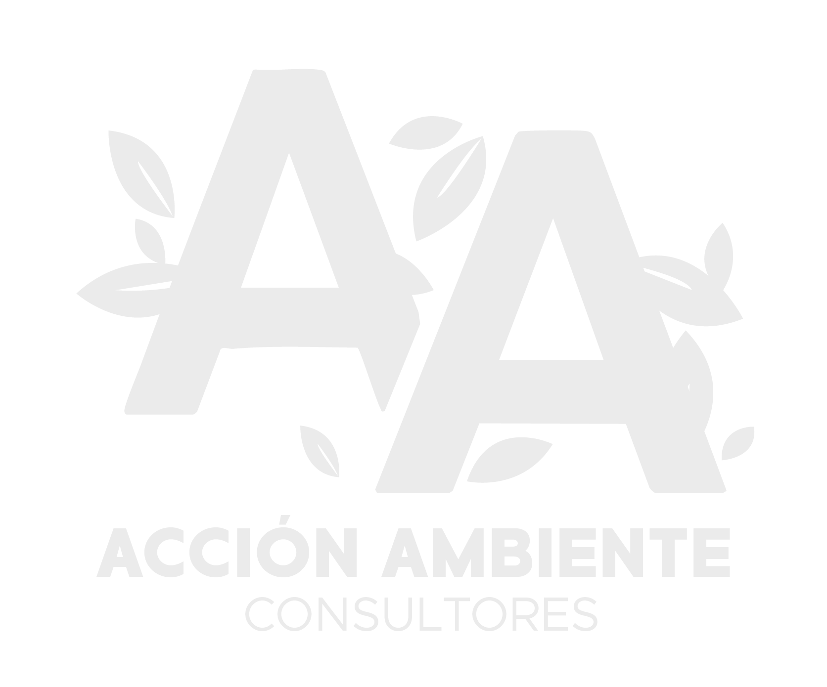 Acción Ambiente Consultores